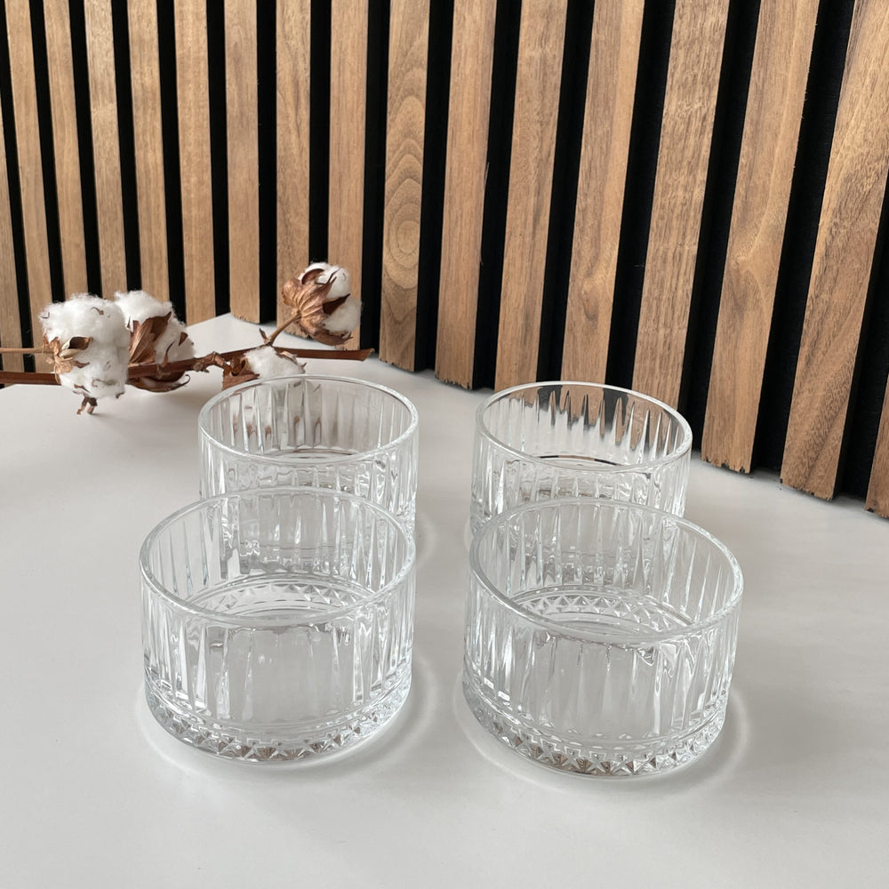 Elysia dupe schaal | 9 cm | 1 stuk