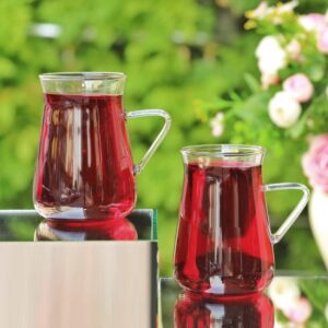 Ela borosilicaat theeglazen | 6 stuks | 205 ml