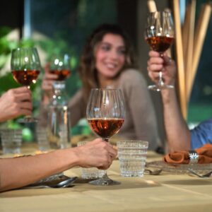 RCR Optiq wijnglazen | Kristalglas | 6 stuks | 450 ml